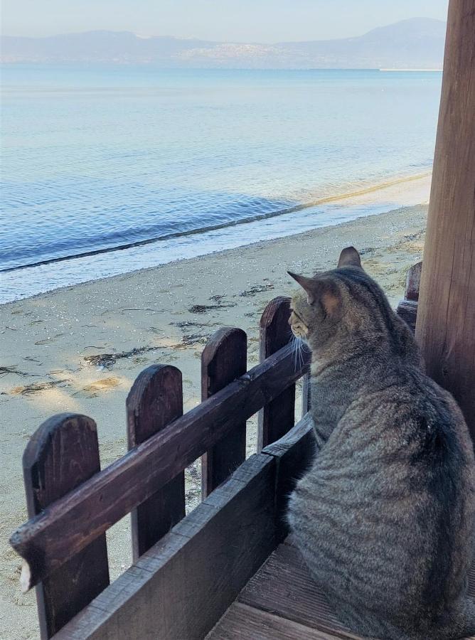 Niko'S Apartment - Beautiful Sea View Apartment ! Peraía 외부 사진